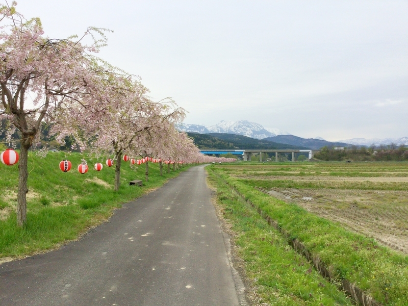 f:id:minimal1991:20200604140839j:plain f:id:minimal1991:20200604140839j:plain