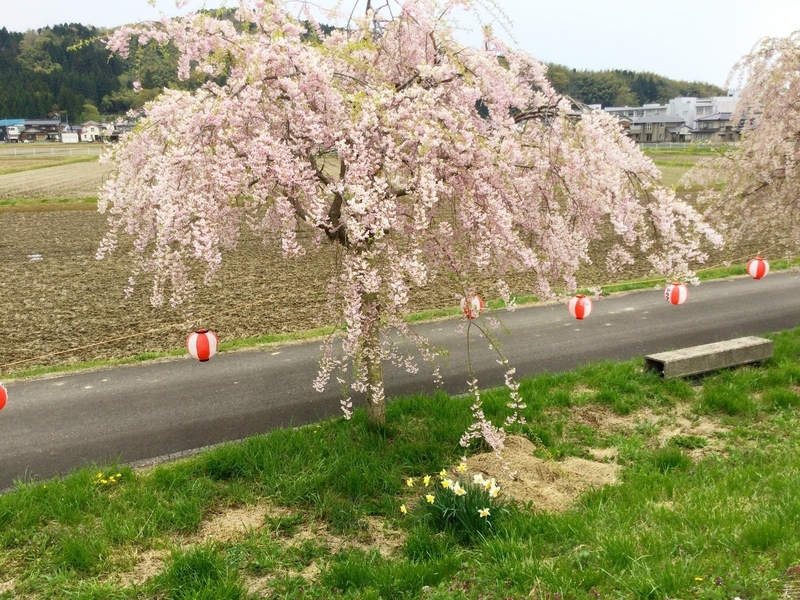 f:id:minimal1991:20200604140846j:plain f:id:minimal1991:20200604140846j:plain