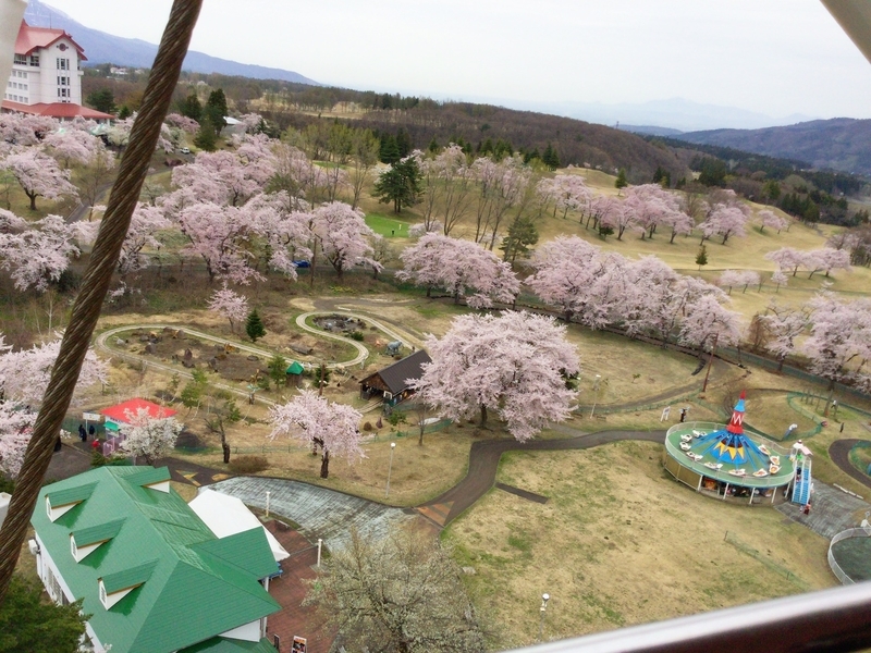 f:id:minimal1991:20200604140854j:plain f:id:minimal1991:20200604140854j:plain