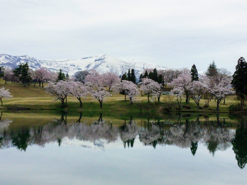 f:id:minimal1991:20200604140902j:plain f:id:minimal1991:20200604140902j:plain