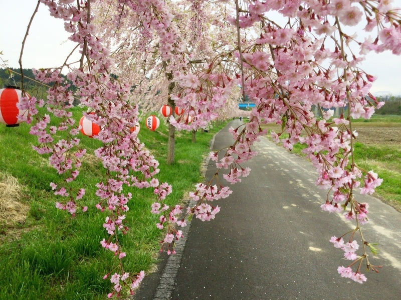 f:id:minimal1991:20200604140947j:plain f:id:minimal1991:20200604140947j:plain