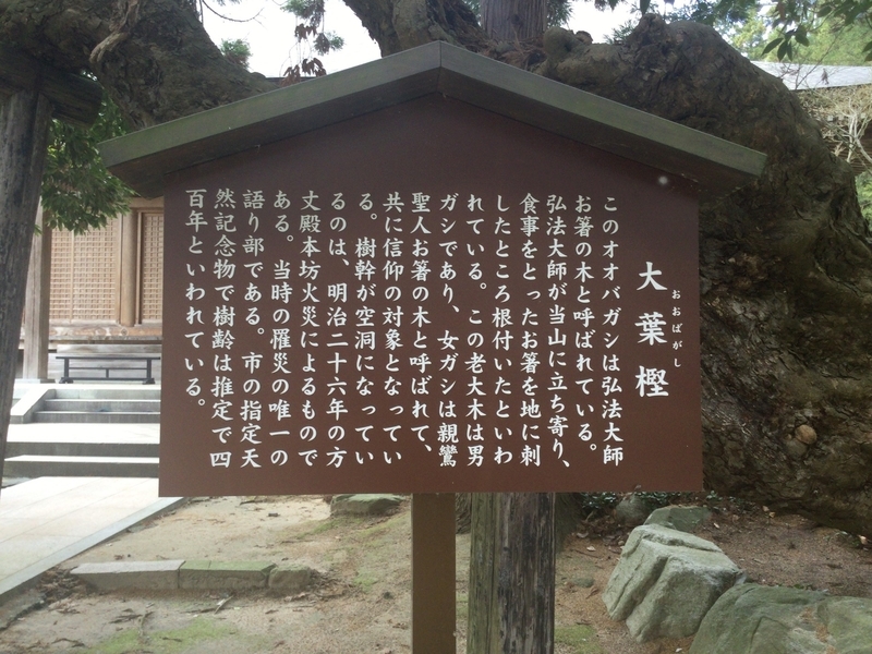 f:id:minimal1991:20200605150851j:plain