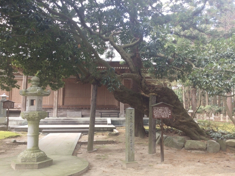 f:id:minimal1991:20200605150944j:plain