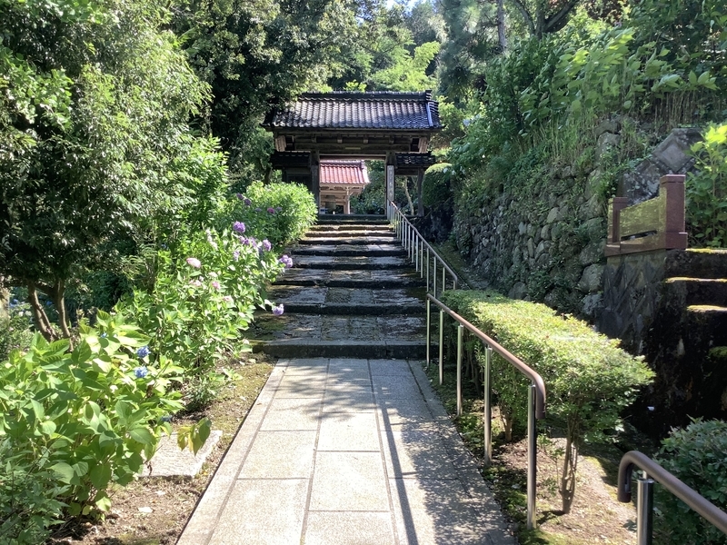 f:id:minimal1991:20200622090906j:plain f:id:minimal1991:20200622090906j:plain