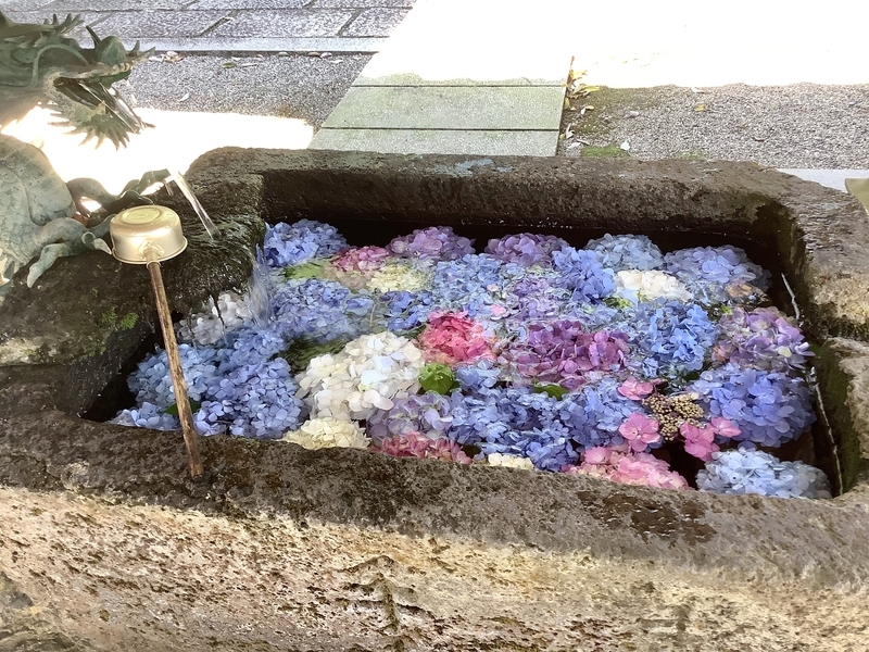 f:id:minimal1991:20200622090948j:plain f:id:minimal1991:20200622090948j:plain