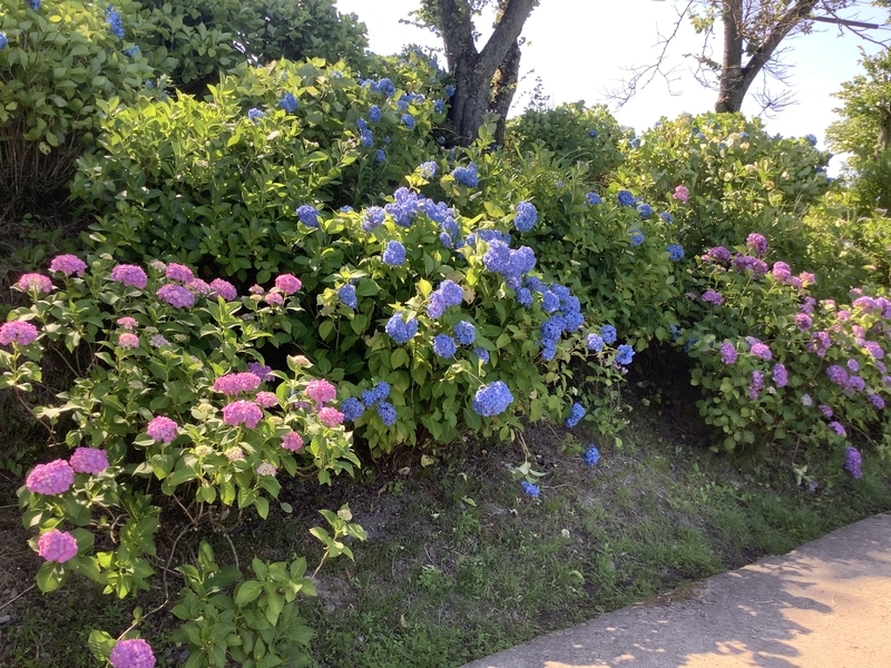 f:id:minimal1991:20200622091108j:plain f:id:minimal1991:20200622091108j:plain