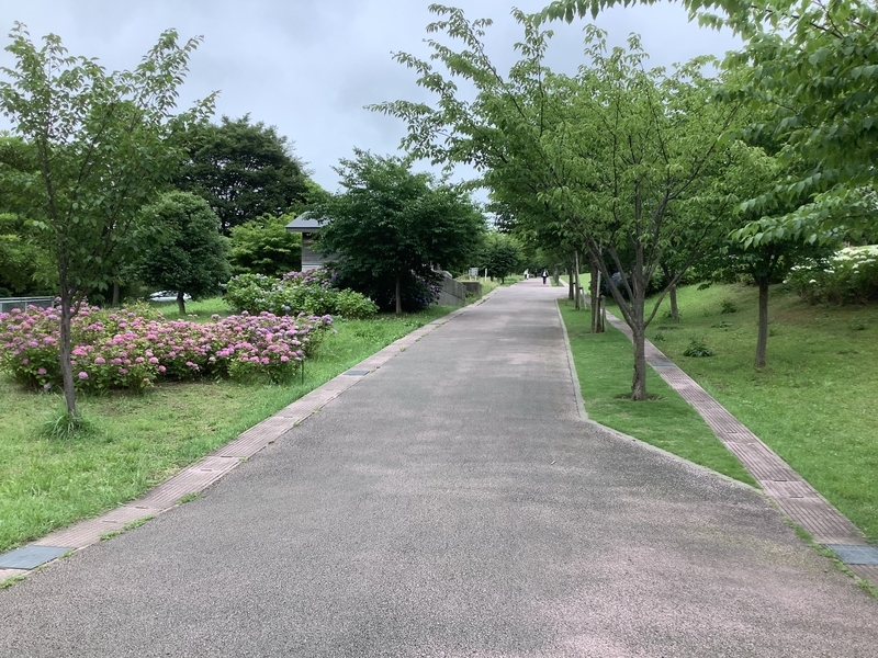 f:id:minimal1991:20200706113328j:plain