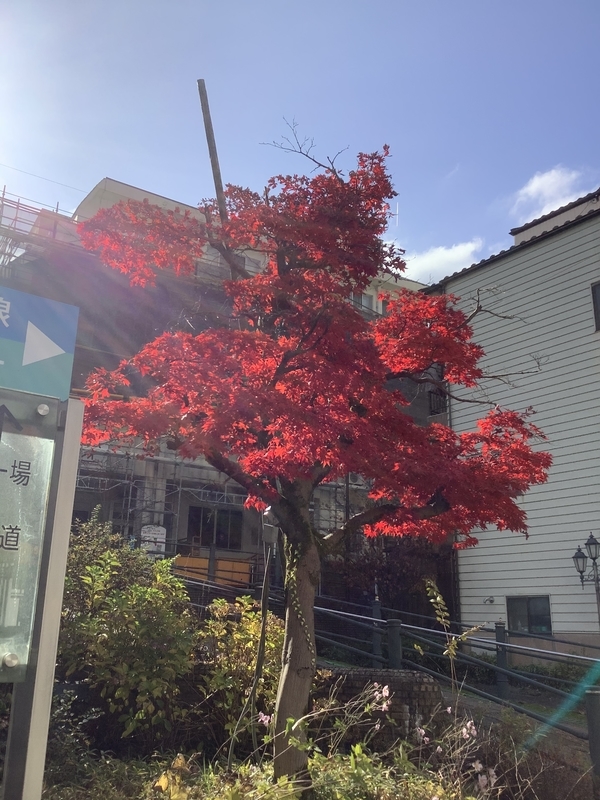 f:id:minimal1991:20201116103514j:plain