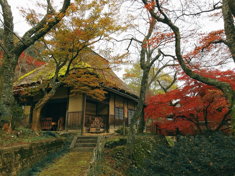 花筐公園 福井県越前市 21 Sometimes