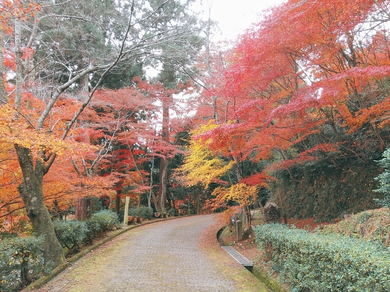 花筐公園 福井県越前市 21 Sometimes