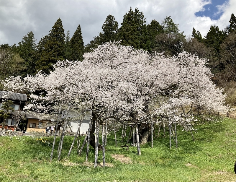 f:id:minimal1991:20220418093950j:plain