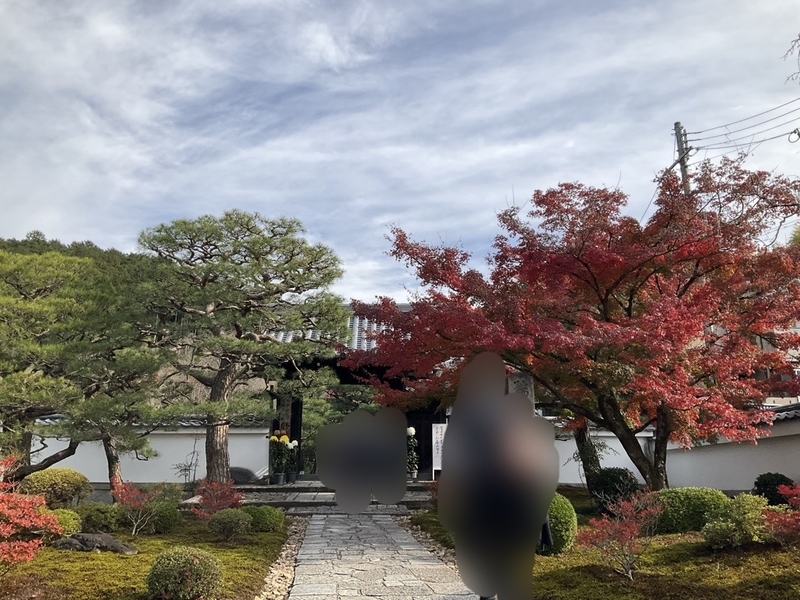 もこたさんの投稿/圓光寺 ｜ ことりっぷ