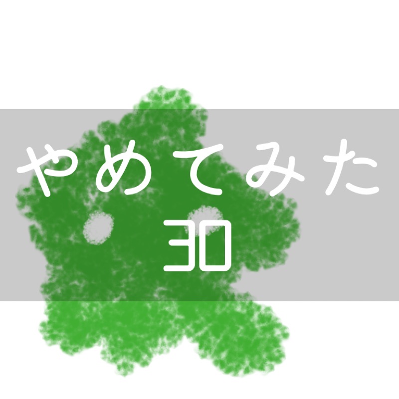f:id:minimalist6:20210315080300j:plain