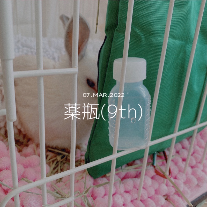 f:id:minimalist6:20220322134047j:plain