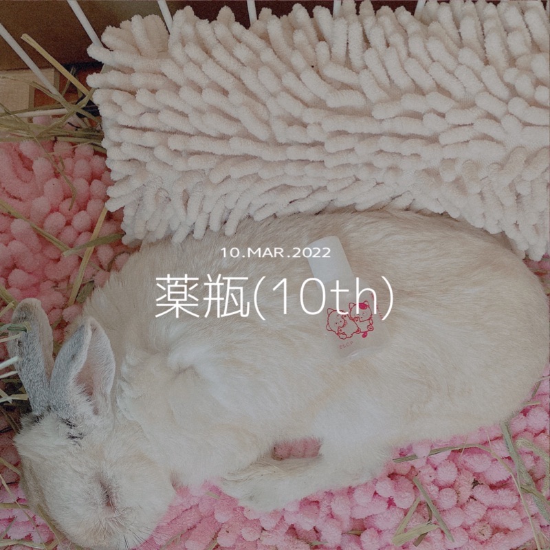 f:id:minimalist6:20220322134101j:plain