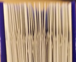 f:id:minimalist_gyakubari:20210904015802j:plain