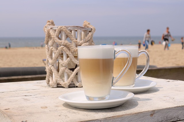 f:id:minimalnatue:20190911160729j:plain
