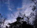 20111123224733