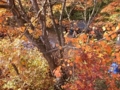 20111123224735