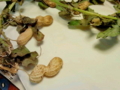 20111216002928