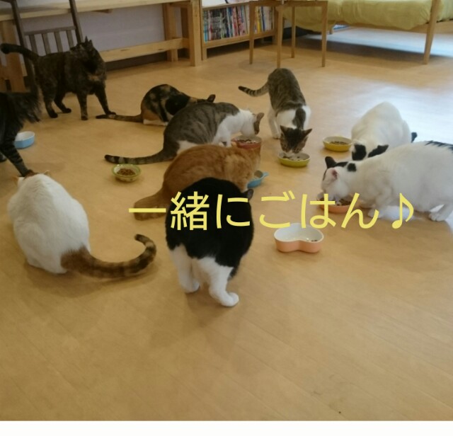 f:id:miniminimini00099:20170416024055j:plain f:id:miniminimini00099:20170416024055j:plain