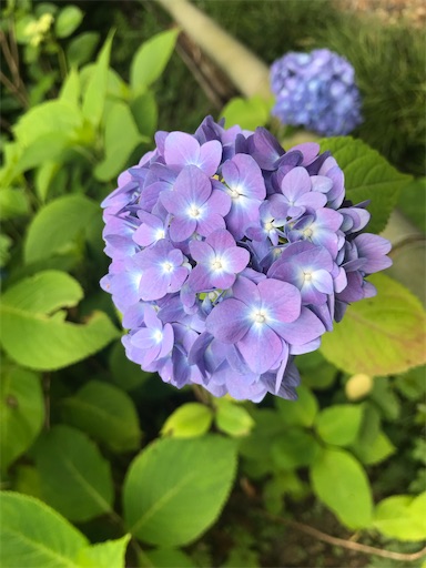 f:id:minimochism:20240604073504j:image