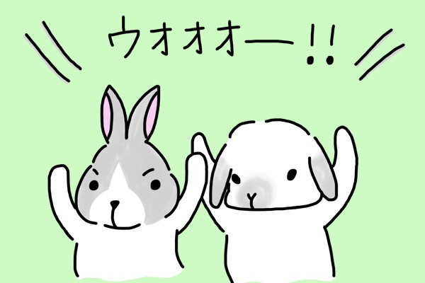 f:id:minimumemo:20190212185202j:plain f:id:minimumemo:20190212185202j:plain