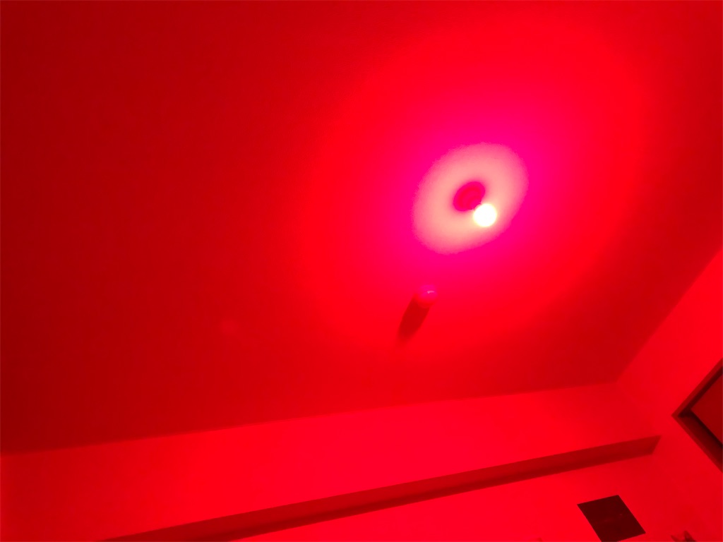 f:id:minimumstresslife:20190219214323j:image