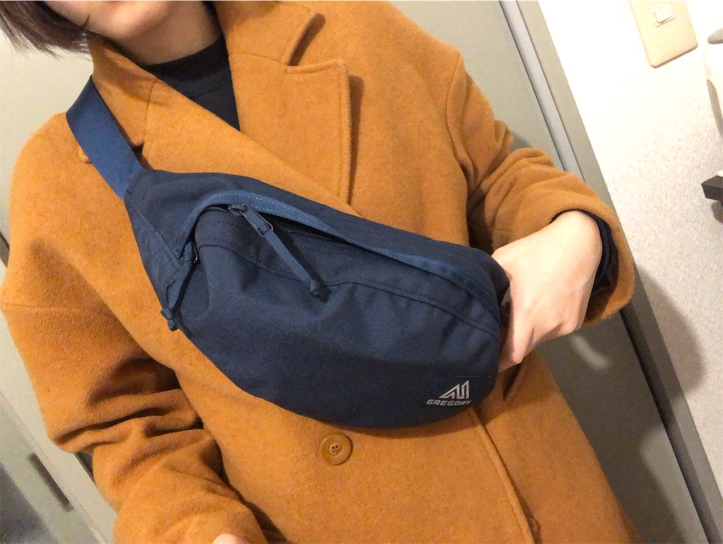 f:id:minimumstresslife:20190222202548j:image