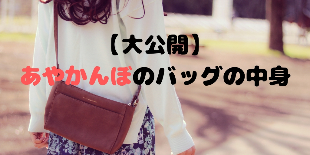 f:id:minimumstresslife:20190222211021j:plain