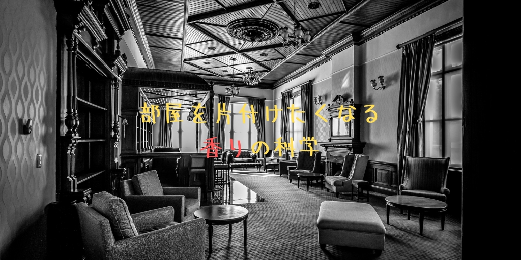f:id:minimumstresslife:20190227190129j:plain