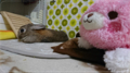 20180604080310