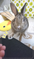 20180604080314