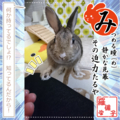 20180604080317