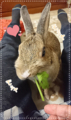 20180606084034