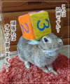 20180606084038