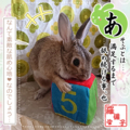 20180606084047