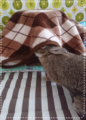 20180606084955