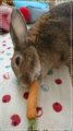 20180606084958