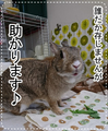 20180927220823