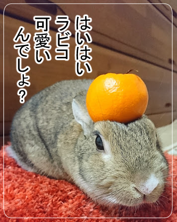 20180930203430
