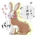 うさぎの日常☆5