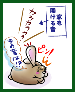 うさぎの日常☆6