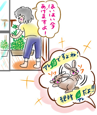 うさぎの日常☆6