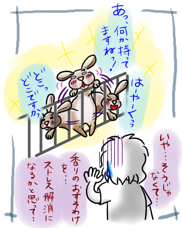 うさぎの日常☆6