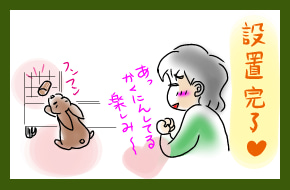 うさぎの日常☆6