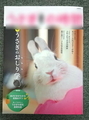 うさぎと男の子☆1