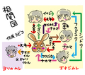 うさぎで空想☆2