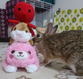 うさぎと男の子☆2