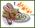 うさぎの日常☆7